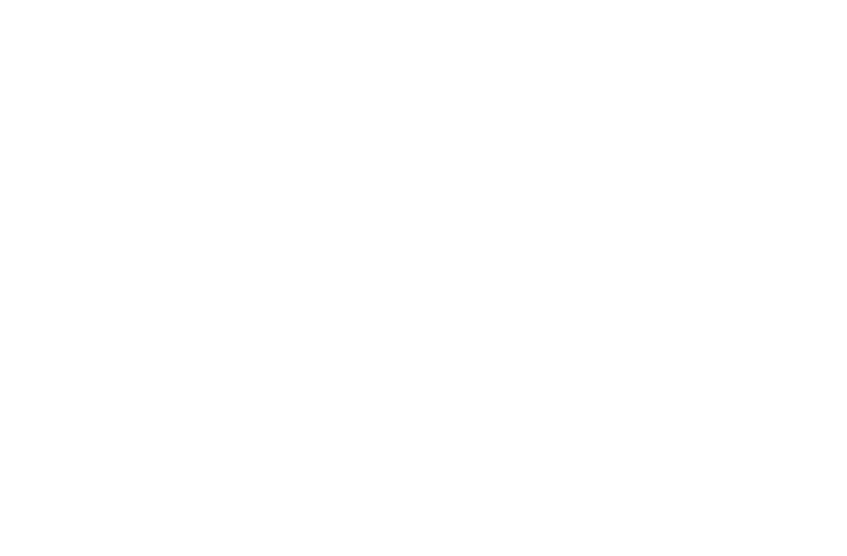 Selis Law Firm